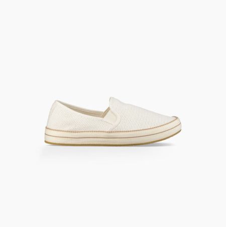 UGG Bren Slip-On Beige Sneakers for Women (JNCZ05784)